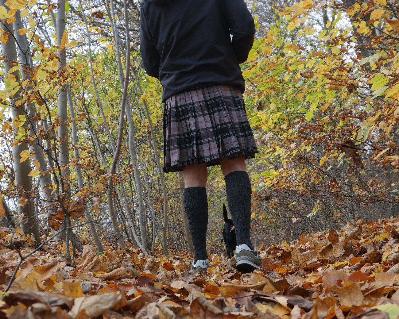 Kilt Moffat tartan