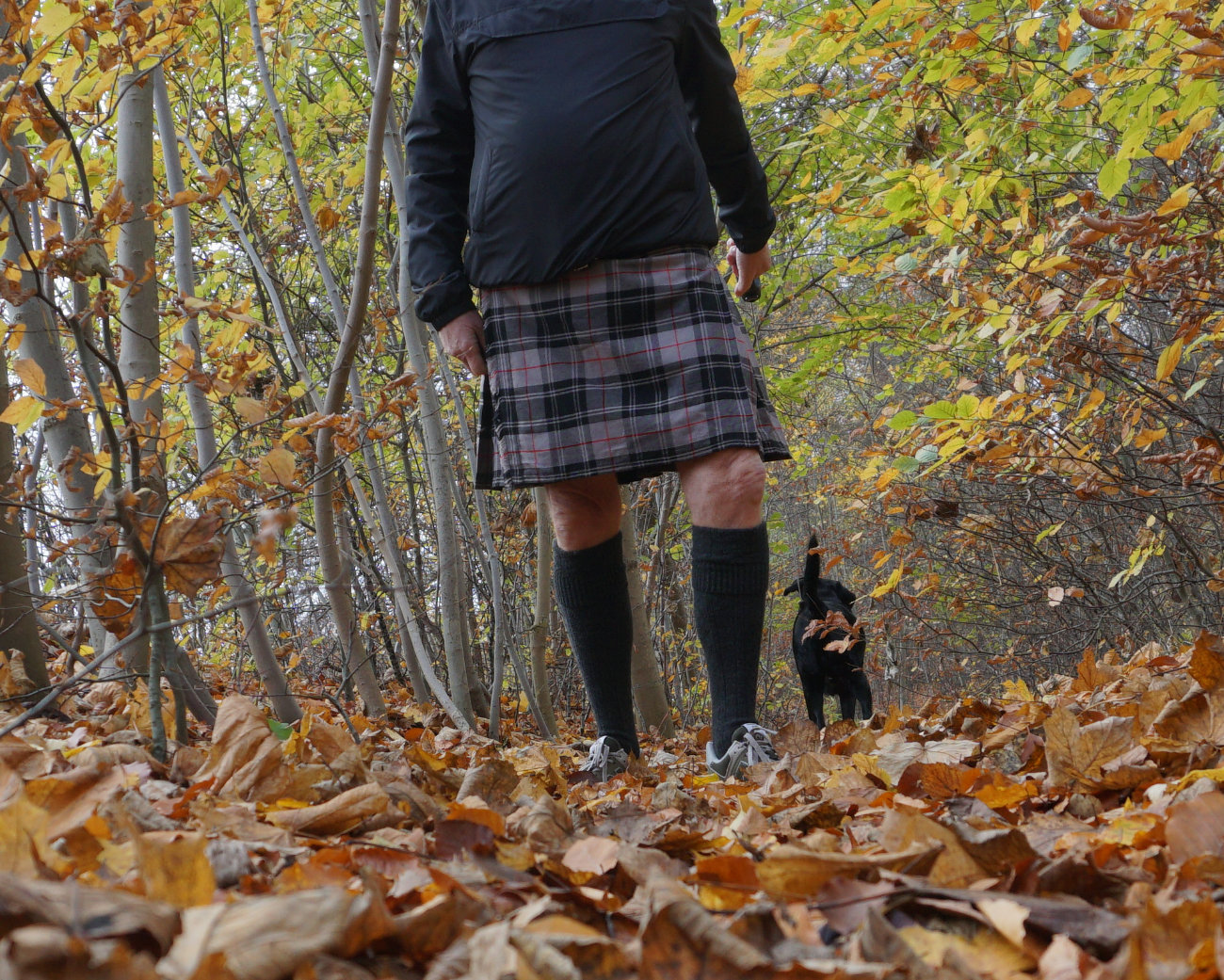 Kilt Moffat tartan