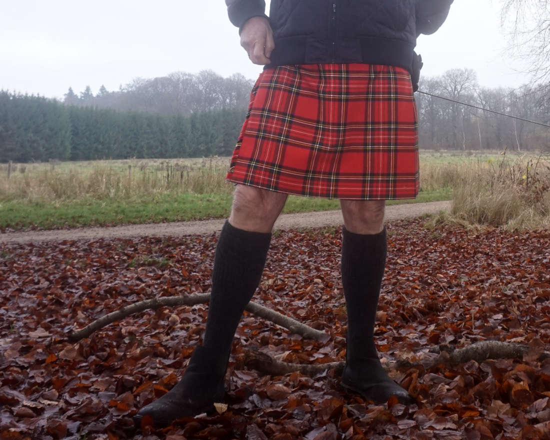 Kilt Stewart Royal tartan